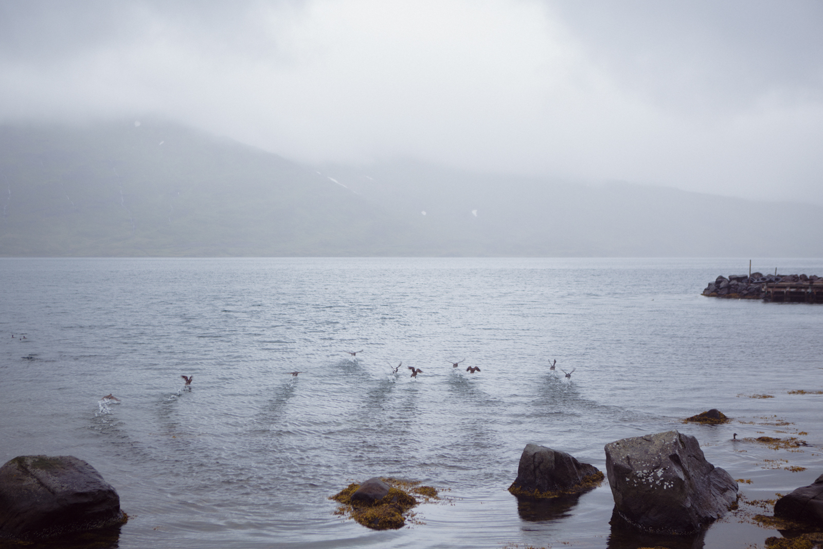 05_0J1B6887_Krossaneslaug_Strandir